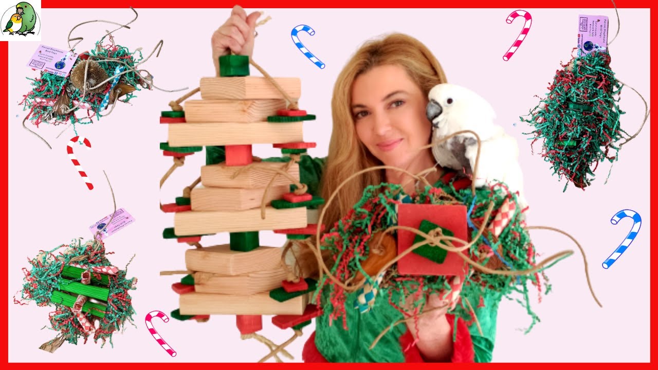 Christmas Bird Toys That are Enviromentally Friendly and Safe For