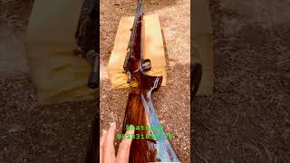 Redi stok #gercep #sonokeling #pcpmonel #pcpbiggame #hunting #senapanangin