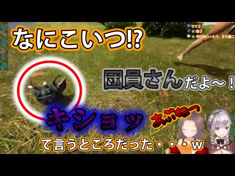 【ホロライブ切り抜き／Ark】開幕から不穏な空気が漂う、まつり＆ノエルのティラノ捕獲作戦【夏色まつり／白銀ノエル】