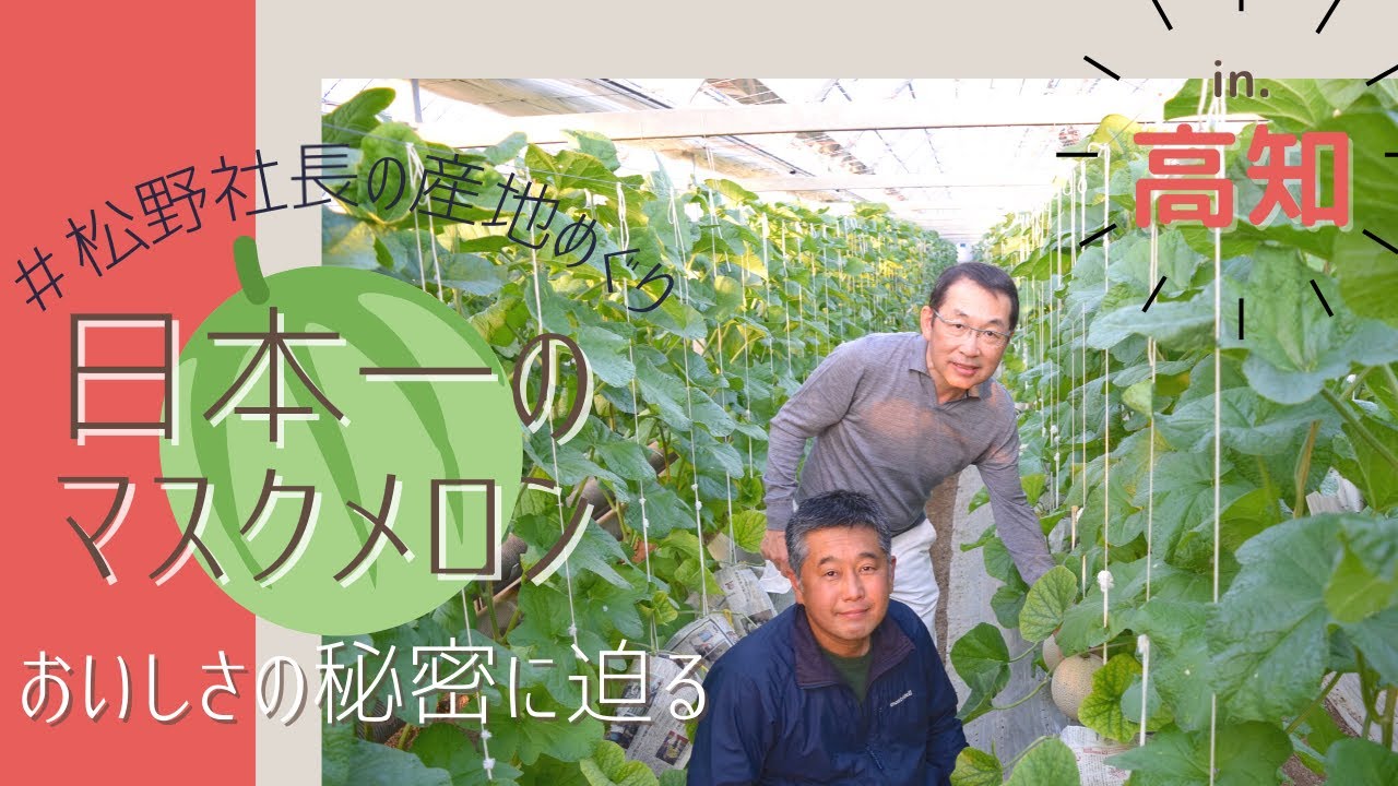 【日本一のマスクメロン】松野社長の産地めぐり2020 in.高知〜篤農「一果相伝」マスクメロンのおいしさの秘密に迫る！〜
