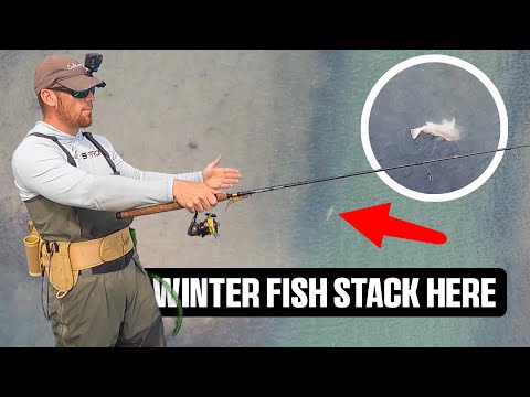 Why Winter Fish STACK Up at These Flat Entrances