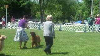 Heartland's Birthday Suit Streaker