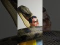TITANOBOA HUNTS ANACONDA STYLE #snake