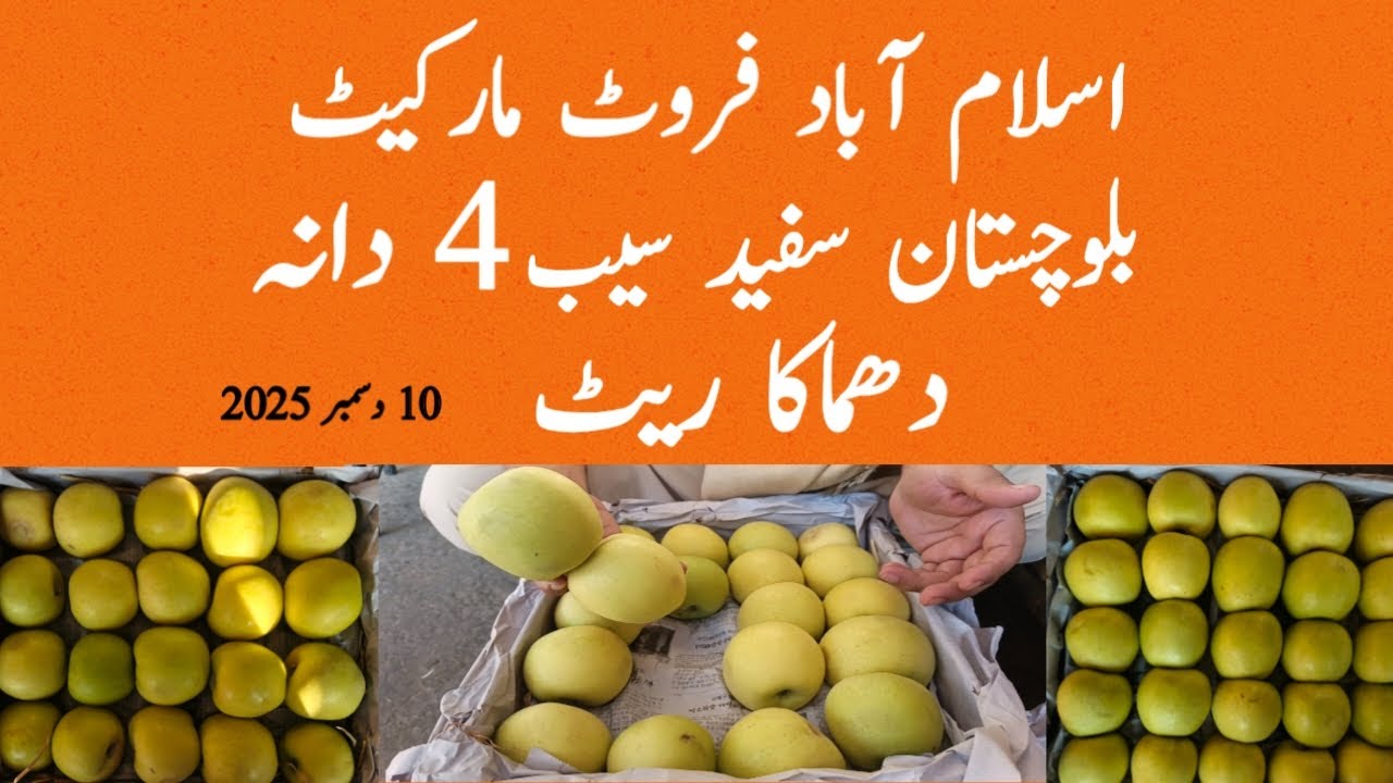 Fresh Balochistan White Apple | Fresh Quality & Today’s Market Price 