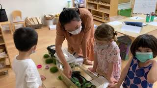 Inquiry-Based Learning at Mulberry House (1 Min Explainer)