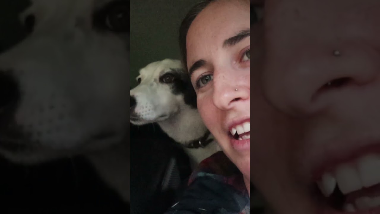 Heading Out Camping for the Weekend and Cooking Up a Storm