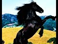 The Rolling Stones - Wild Horses - 1971 - HD -