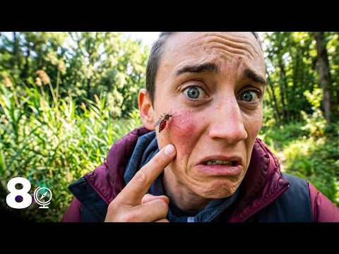 Un encuentro demasiado cercano con la fauna francesa | EPISODIO 8 A CABO NORTE EN BICI