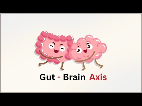 Gut-Brain Axis