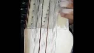 Rajab ali khan sarangi Raag Charukeshi