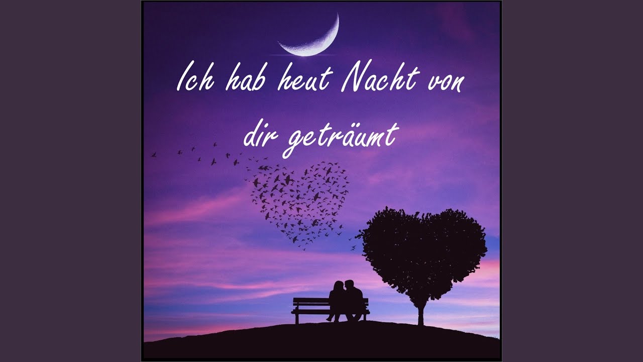 hardy schwetter ich hab die ganze nacht von mir geträumt