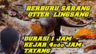 BERBURU SARANG BERANG BERANG || DENGAN SUARA || DURASI 1 JAM