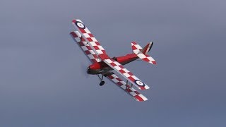 Tiger Moth and Provost at Old Warden 17th August 2019