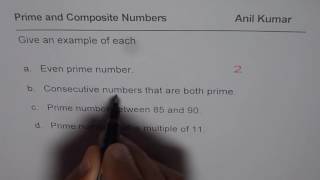 Test Examples for Prime and Composite Number