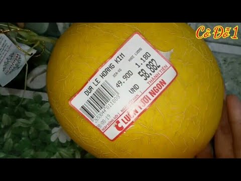 Video Cách Trồng Dưa Lê Hoàng Kim Từ Trái Cực Dễ.. Ai cũng... - youtube