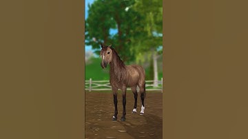 Unsuccessful horses #horses #sso #horse #starstable