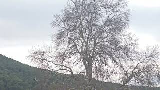 Su Felsefesi Cankurtaran