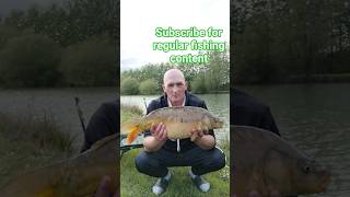 LOVELY MIRROR CARP
