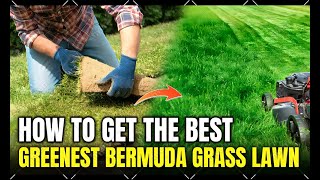 How to Get the Greenest Bermuda Grass Lawn in Texas This Spring!