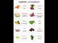Carrot, Beetroot, Garlic &amp; More | Vegetable Names in English with Tamil Meaning🍫🥰