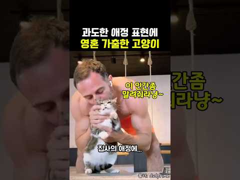 밥 먹다 집사한테 기습 애정폭격 당한 냥이 표정ㅋㅋㅋ #고양이 #<strong>집사</strong>