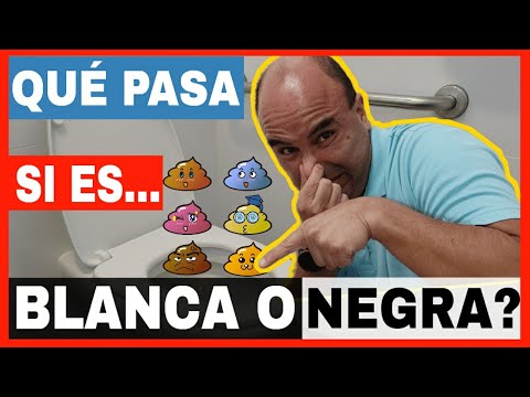 Vídeo: Quin significat té la fermentabilitat?