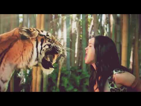 حالات واتس اجنبي تحفه