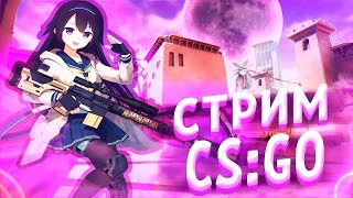 СТРИМ по CS GO | Апаем ранг, уничтожаем всех и вся!