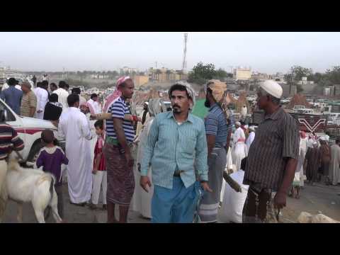 سوق الاغنام صبيا