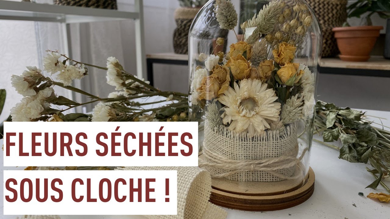 Créer un arrangement de fleurs séchées sous cloche ! - thptnganamst.edu.vn