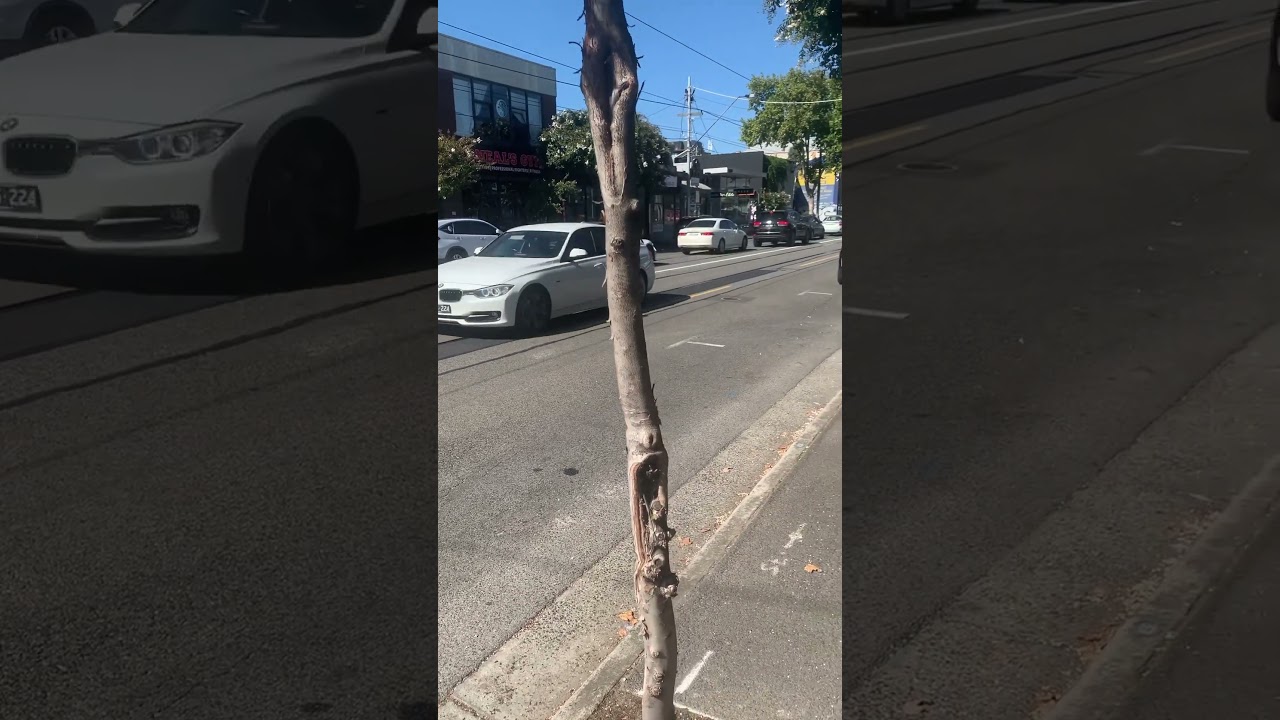 Porsche 911 gt3 Swan Street 