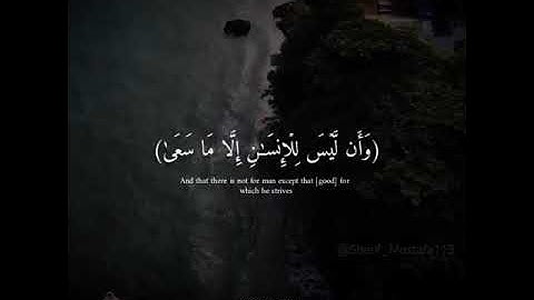 القارئ شريف مصطفي /قرآن كريم /مقاطع قصيرة/حالات واتساب/تلاوة عطرة