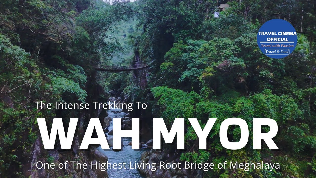 Trekking to a Secret Natural Pool | Wah Myor | Highest Living Root Bridge | Offbeat Meghalaya |