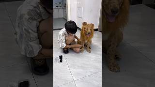 Dirty Dog Turns Into A Lion Unbelievable Transformation