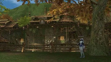Lineage 2 - Hunters Village Theme