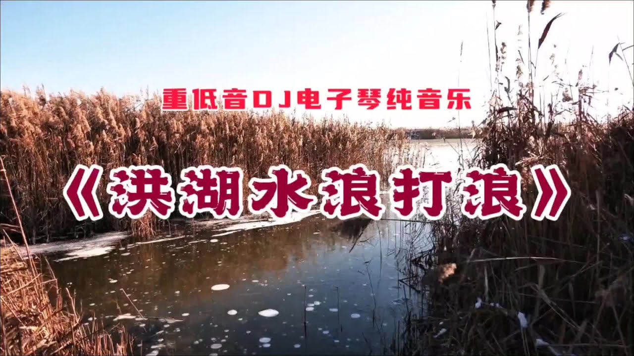 重低音DJ纯音乐《洪湖水浪打浪》，经典老歌，让人百听不厌#看见音乐计划#配乐有奖#洪湖水浪打浪 #百听不厌 #音乐分享 #抖音热歌