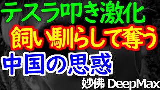 05-16 中国でテスラが叩かれている理由