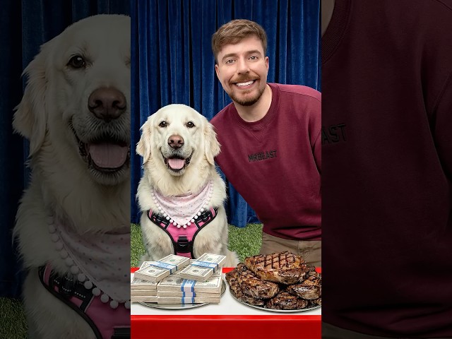 Would Your Dog Pick $10,000 or Steak?