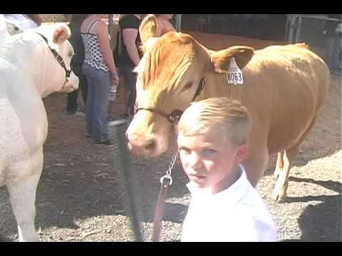 Sonoma Marin Fair Good MOOOs SPECIAL Announcement