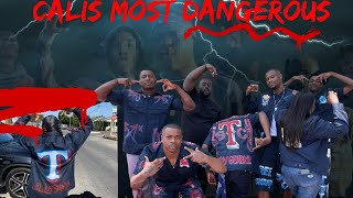 Who are the 51 trouble gangster crips?|one of the youngest but also DEADLIEST gangs in LA|TGC vsR50s