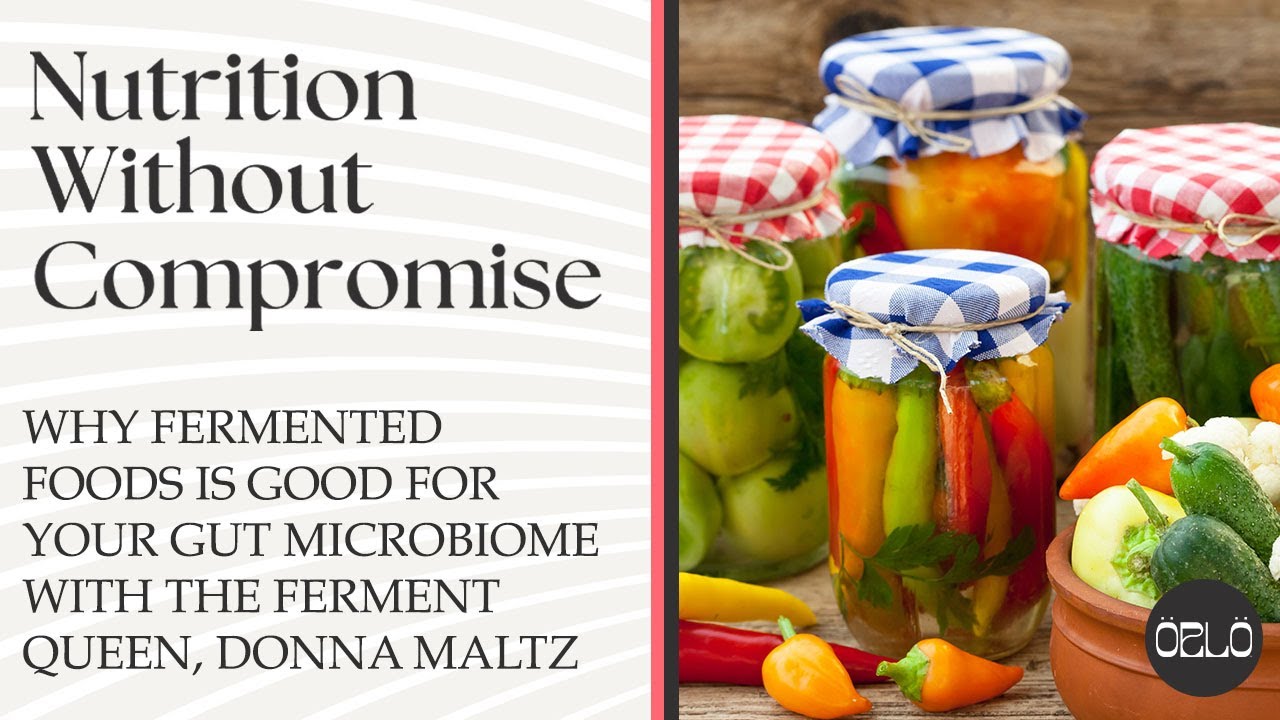 Why Fermented Foods Is Good For Your Gut Microbiome With The Ferment