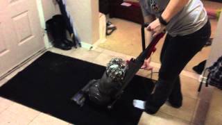Dyson DC77 Animal