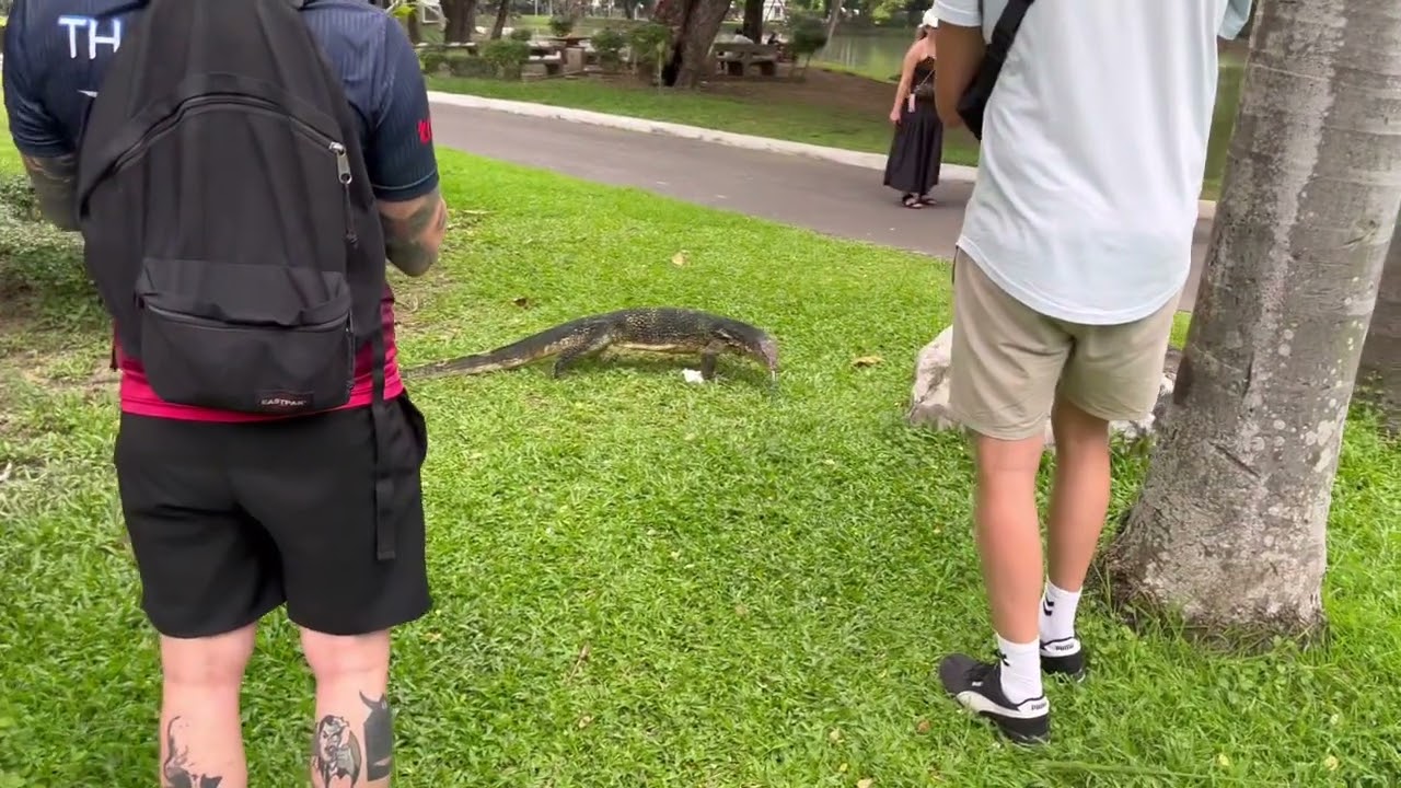 Lumphini Park Bangkok 2025 