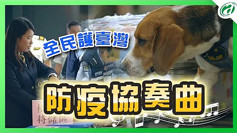 防疫無死角 防堵非洲豬瘟全年無休 - 天天要聞
