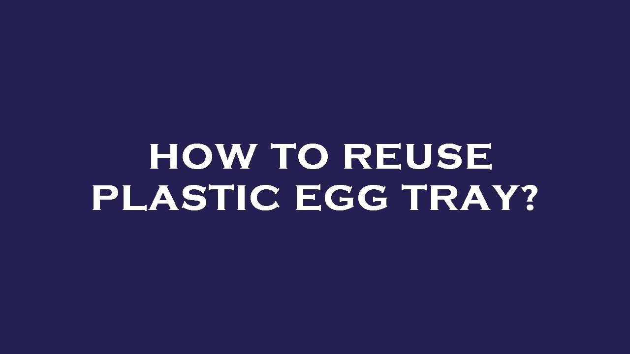 How to reuse plastic egg tray? YouTube