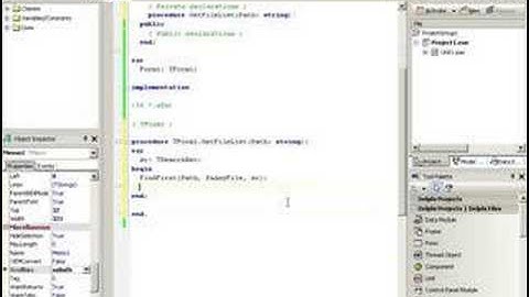 Delphi Training Series: Programming 101 - Episode 9
