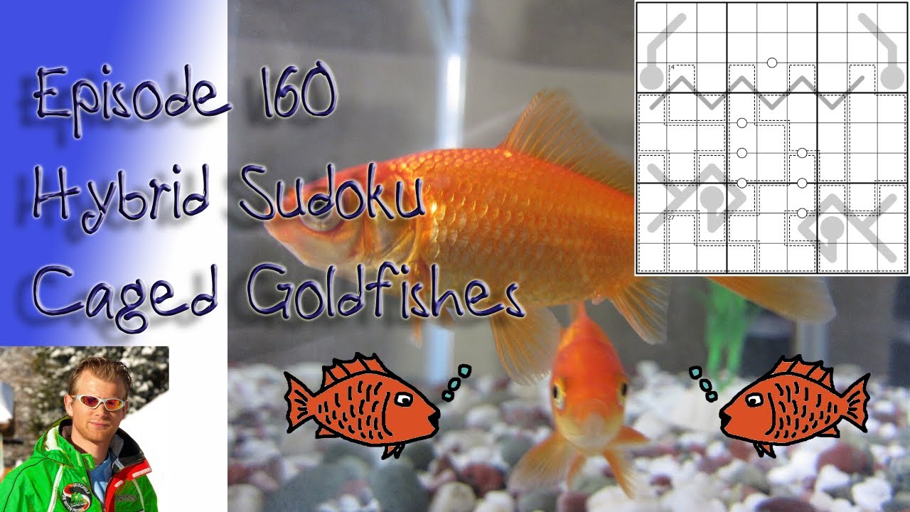 Головоломка с книгами, эпизод 160: Золотые рыбки в клетках