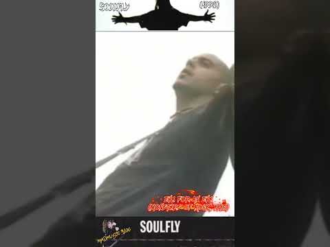 Soulfly - Eye for an Eye #madmusicblog #soulfly #rock #metal #numetal #groovemetal #music #rec