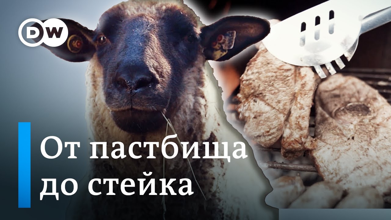 Видео о перекупах