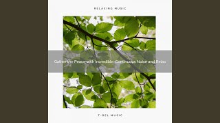 Relaxing, Brownian Algorithmic Noise Time Arrived